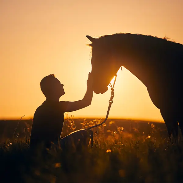 EQUINA Funeral Services